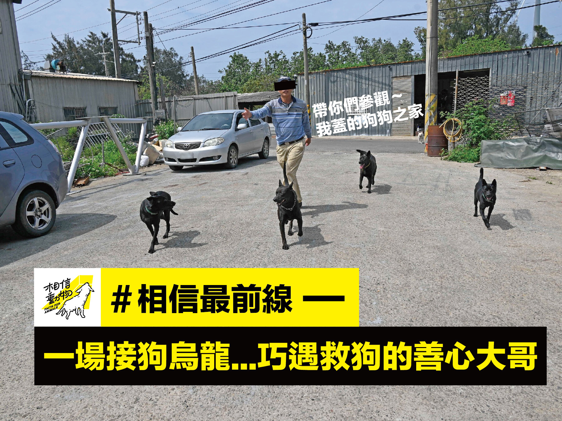 他走到哪裡都被這些他沿街救援的狗狗們團團簇擁,畫面十分逗趣。